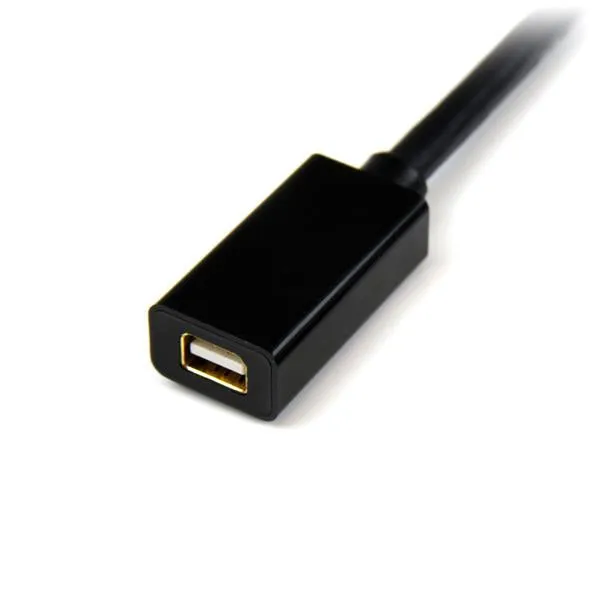 6Ft Mini Displayport Extension